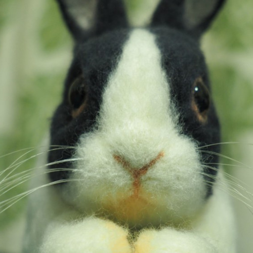 羊毛フェルト パンダウサギ 羊毛フェルト とりもの 通販 9454836