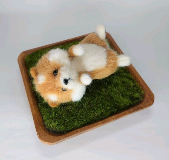 芝生でくつろぎ柴犬 ～Wool Farm～ 羊毛フェルト 羊毛フェルト ueue