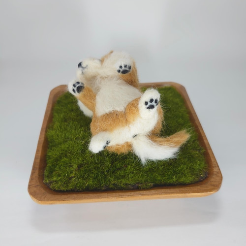 芝生でくつろぎ柴犬 ～Wool Farm～ 羊毛フェルト 羊毛フェルト ueue
