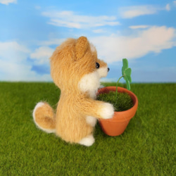 クローバー柴犬(赤・鉢植え)　～Wool Farm～　羊毛フェルト 4枚目の画像