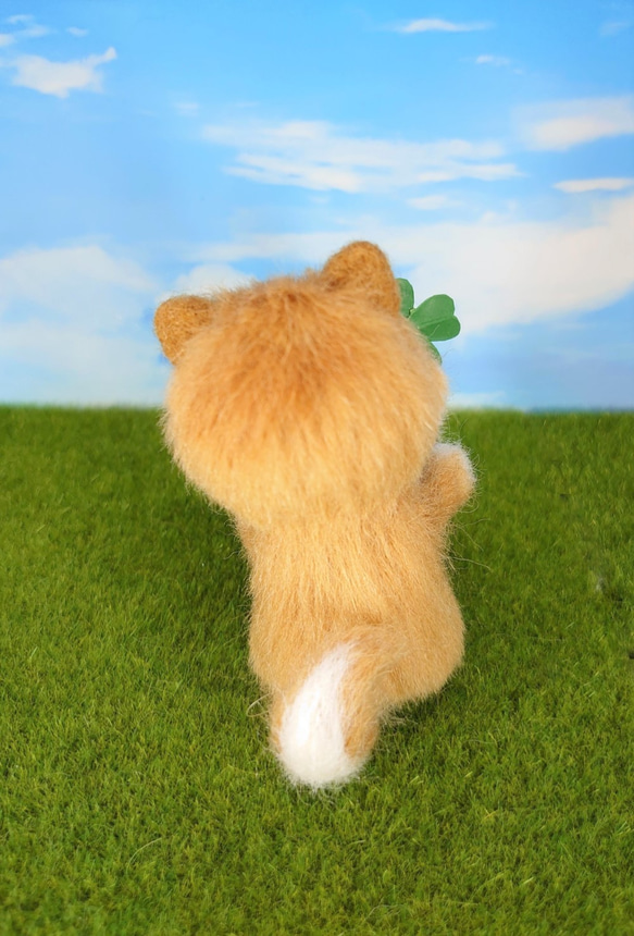 クローバー柴犬(赤・鉢植え)　～Wool Farm～　羊毛フェルト 6枚目の画像