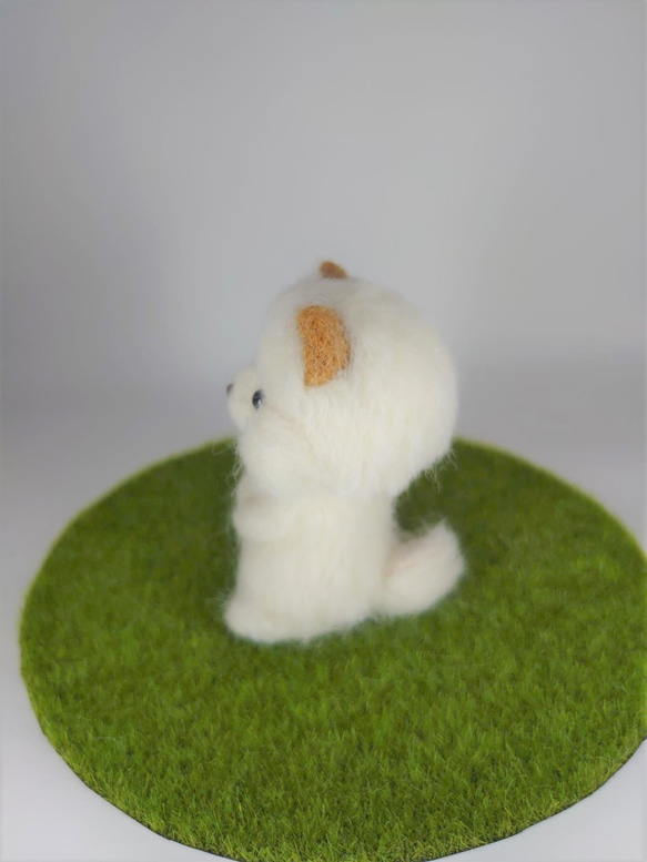 仲良しパピー4匹組(白柴)　～Wool Farm～　羊毛フェルト 4枚目の画像