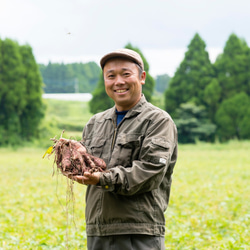 有機JAS認定　オーガニック　有機安納芋　５ｋｇ　鹿児島から産地直送でお届け(１０月以降) 6枚目の画像