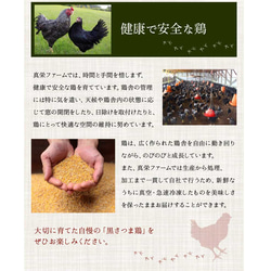 【濃厚な鶏白湯スープ！】黒さつま鶏 しゃぶしゃぶ（4～5人前） 鹿児島県産 お肉 鶏肉 しゃぶしゃぶ 鶏しゃぶ 10枚目の画像