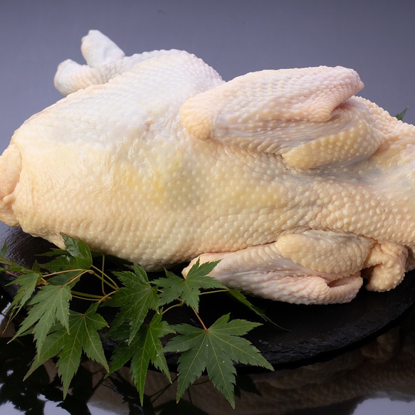 【クリスマス2024】 鹿児島県産 黒さつま鶏 中抜き 丸鶏 約2~3kg ローストチキン  まるごと 丸ごと 地鶏 1枚目の画像