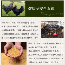 【クリスマス2024】 鹿児島県産 黒さつま鶏 中抜き 丸鶏 約2~3kg ローストチキン  まるごと 丸ごと 地鶏 10枚目の画像