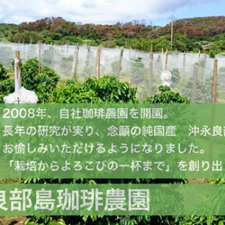 国産 コーヒー 100％ 国産珈琲果実100%「果実の極(かじつのきわみ)」100g 国産珈琲 プレゼント ギフト 5枚目の画像