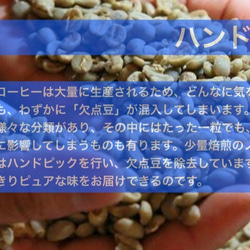 国産 コーヒー 100％ 国産珈琲果実100%「果実の極(かじつのきわみ)」100g 国産珈琲 プレゼント ギフト 8枚目の画像