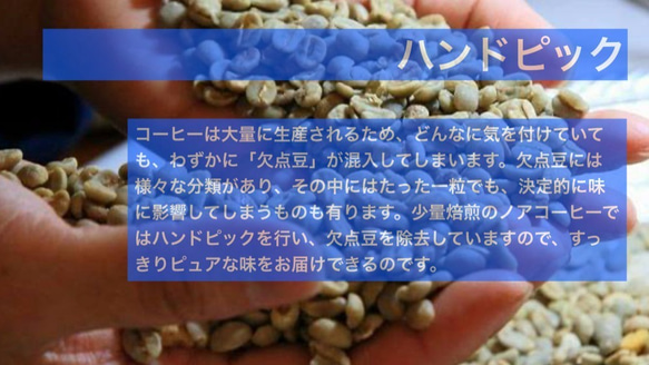 国産 コーヒー 100％ 国産珈琲果実100%「果実の極(かじつのきわみ)」100g 国産珈琲 プレゼント ギフト 8枚目の画像