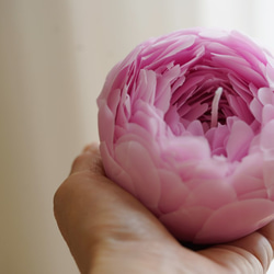 蜜蝋のフラワーキャンドル芍薬（peony）大きめサイズ♪(受注制作） 6枚目の画像