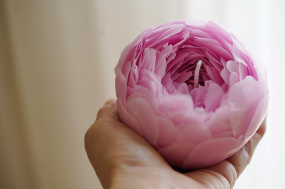 蜜蝋のフラワーキャンドル芍薬（peony）大きめサイズ♪(受注制作） 6枚目の画像