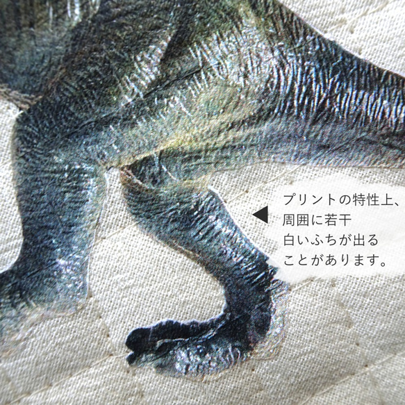 高品質生地◎リアル恐竜な入園セット roaring T-rex! 大きめサイズ 名前入り ティラノサウルス 4枚目の画像