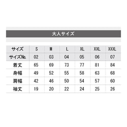 半袖Tの寸法＆特徴 3枚目の画像