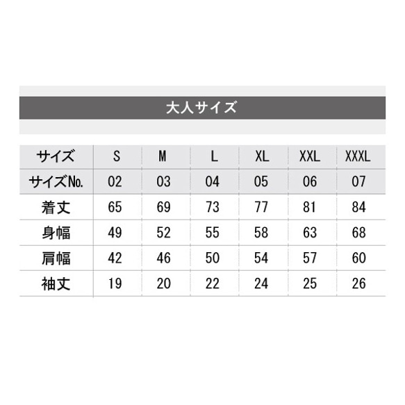 半袖Tの寸法＆特徴 3枚目の画像