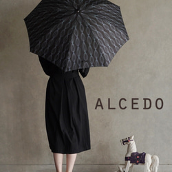 竹傘洋蔥 深色晴雨長傘 ALCEDO 161007 遮陽傘 雨傘 洋蔥 第9張的照片