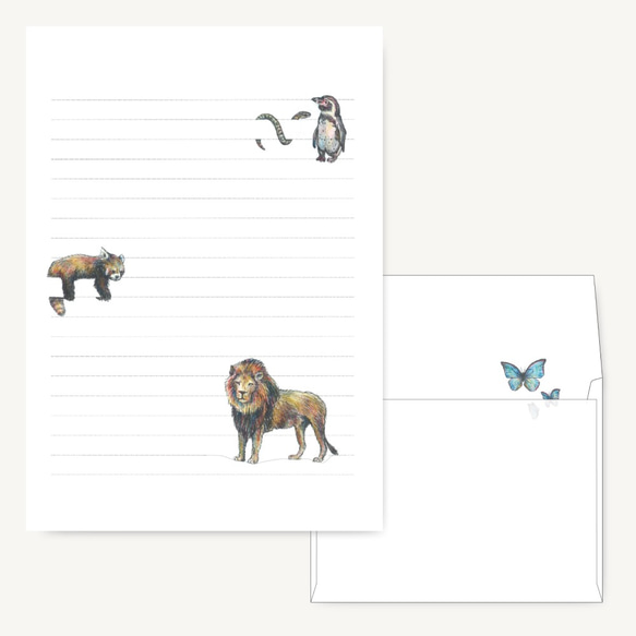 罫線で遊ぶ動物 ライオン レターセット Read Lead 通販 12851831