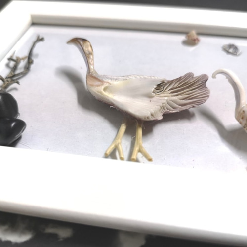鶴　貝殻　アート　額縁 鶴二羽亀二匹 -色紙 | 境工芸社 -貝工芸品