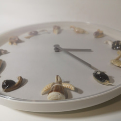 ［12動物12時］手工貝殼時鐘 掛鐘 第4張的照片