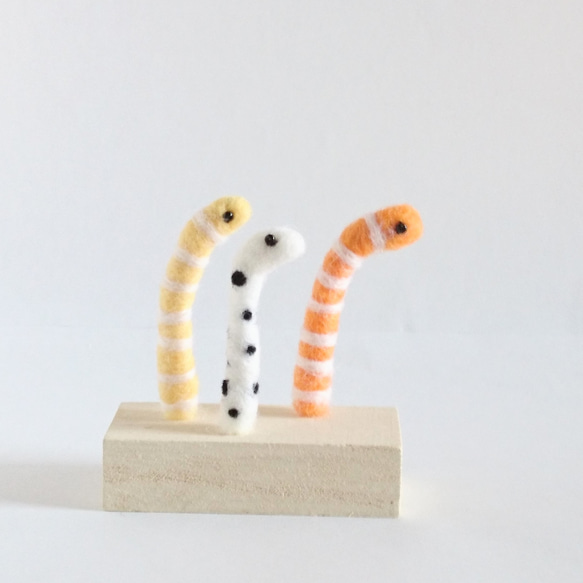 チンアナゴの置物 羊毛フェルト 羊毛フェルト アカツキコ 通販 9905268