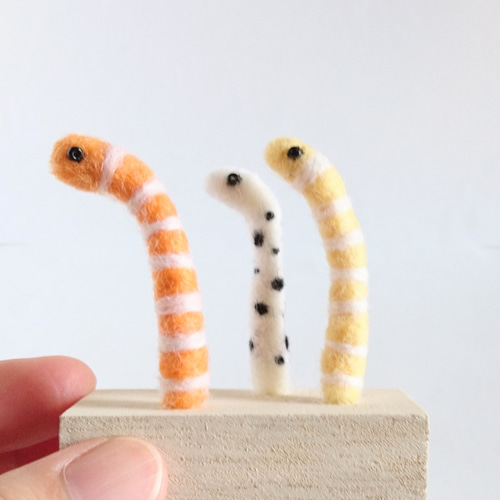 チンアナゴ 羊毛フェルト H441-640 ニードルフェルトでつくるどうぶつたち ニシキアナゴと