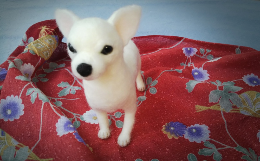 リアル羊毛フェルト スムースチワワ白 羊毛フェルト あのこのあしおと