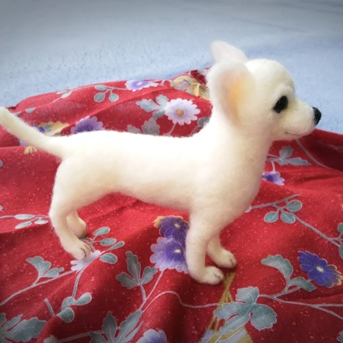 リアル羊毛フェルト スムースチワワ白 羊毛フェルト あのこのあしおと