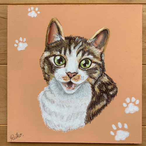 ウォールステッカー チョークボード DIY 猫 ネコ セット ペット