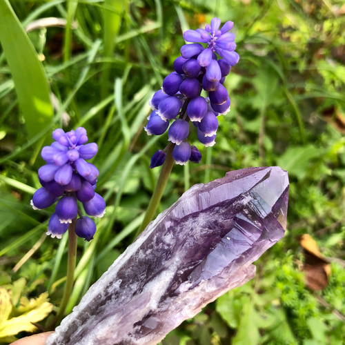 希少虹入り！アメジストダガーポイントポイント原石恋愛＊守護