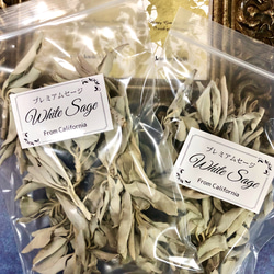 高品質ホワイトセージ 25g 茎付きプレミアム White Sage 3枚目の画像