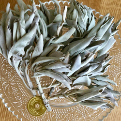 高品質ホワイトセージ 25g 茎付きプレミアム White Sage 5枚目の画像