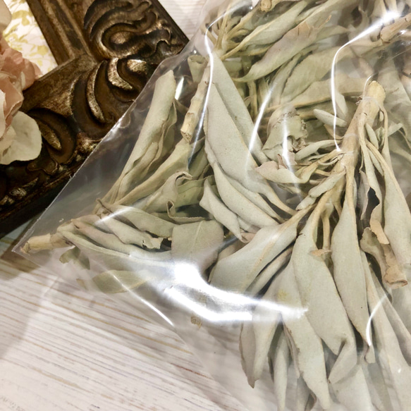 高品質ホワイトセージ 25g 茎付きプレミアム White Sage 6枚目の画像