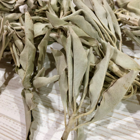 高品質ホワイトセージ 25g 茎付きプレミアム White Sage 8枚目の画像