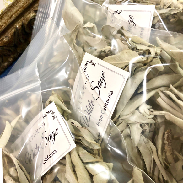 高品質ホワイトセージ 25g 茎付きプレミアム White Sage 9枚目の画像