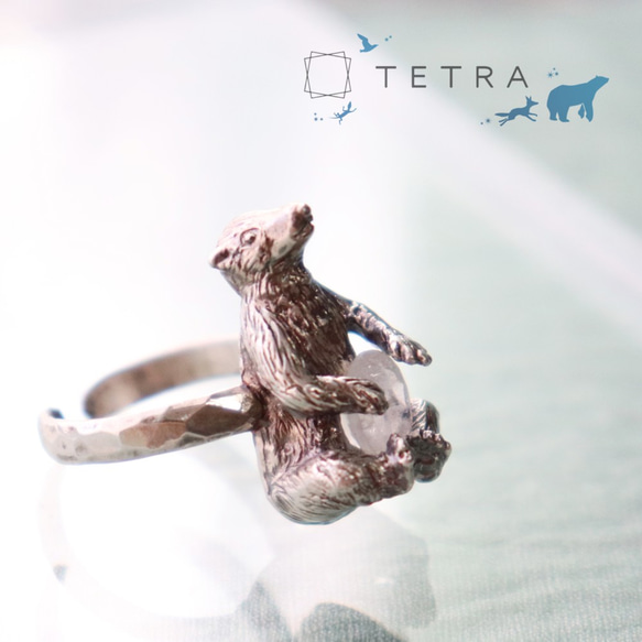 流氷のかけらを抱えるシロクマリング【Silver925製】【レインボー 