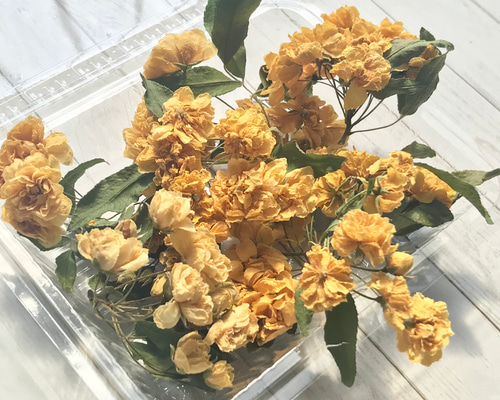 ドライフラワー❣️ミニバラ 訳あり ドライフラワー❣️ミニバラ 訳あり