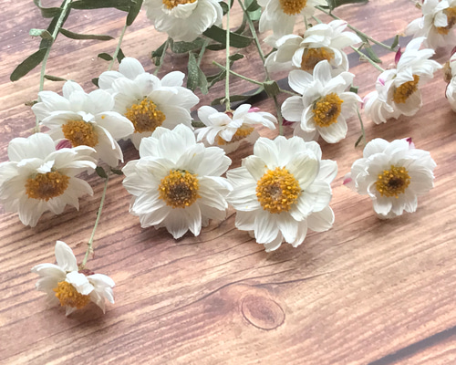 最新最全のをすべて その他素材 花簪＊ドライフラワー 雀雑貨店 9943057 通販 マットレス