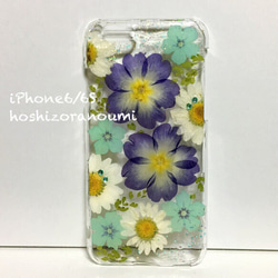 sale！iPhone6/6S 青紫系 ジュリアン フロックス ノースポール 押し花 素材 ケース 1枚目の画像