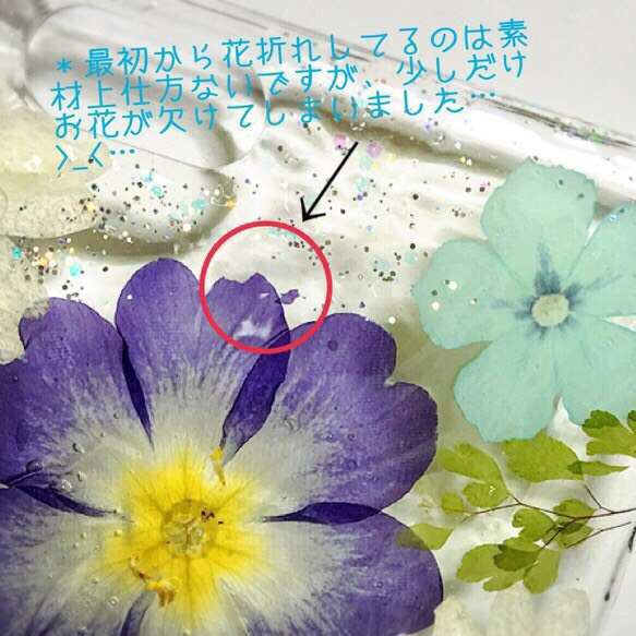 sale！iPhone6/6S 青紫系 ジュリアン フロックス ノースポール 押し花 素材 ケース 3枚目の画像