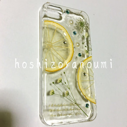 iPhone5/5S 本物 レモン かすみ草 レースフラワー シンプル スッキリ 上品に♪ 押し花 素材 ケース 3枚目の画像