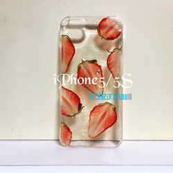 iPhone5/5S 本物 半透明 イチゴ  押し花 素材 レジン ぷるんとジューシー 贅沢 イチゴづくし！ 1枚目の画像