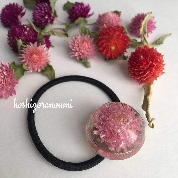 まるごと 千日紅 ピンク レジン ヘアゴム ドライフラワー ヘア