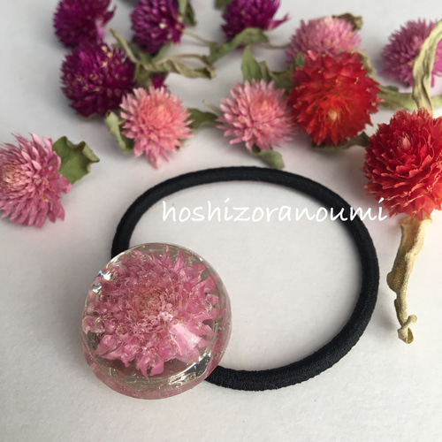 まるごと 千日紅 ピンク レジン ヘアゴム ドライフラワー ヘア