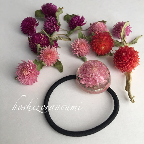 まるごと 千日紅 ピンク レジン ヘアゴム ドライフラワー ヘア