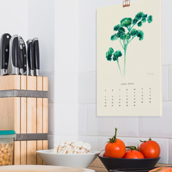 Kitchen Garden 2022 香菜水彩月曆 給美食愛好者的新年禮物 第3張的照片