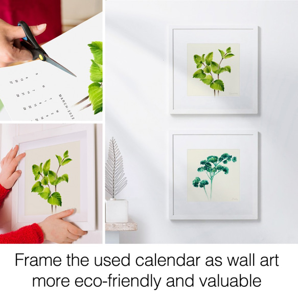2022年の植物の壁掛けカレンダー・水彩画のシンプルな緑の植物のカレンダー cc04 8枚目の画像