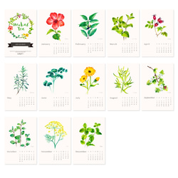 Herbal Tea 2022年曆桌曆 客制封面 給植物愛好者的新年禮物s5 第4張的照片