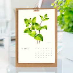 Herbal Tea 2022年曆桌曆 客制封面 給植物愛好者的新年禮物s5 第5張的照片
