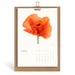花の舞 2022水彩花朵年曆掛曆桌曆 封面客制祝福語 交換禮物 s12 第1張的照片