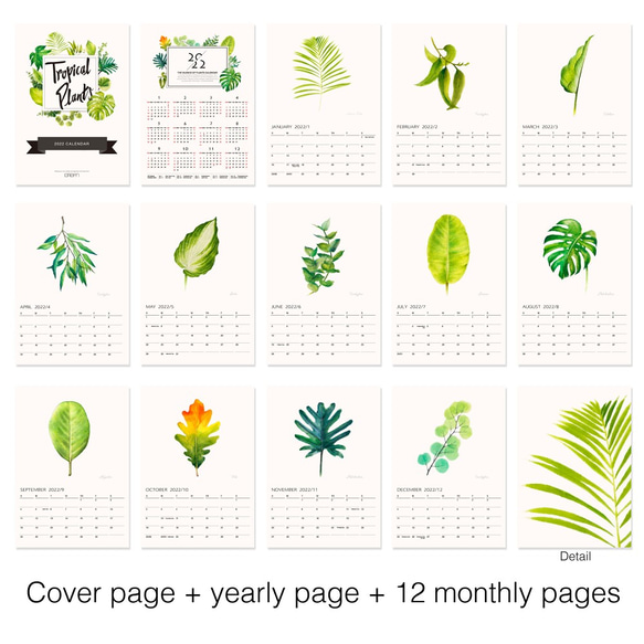 植物的靜默 2022年 月曆 掛曆 給植物愛好者的新年禮物 f1 第4張的照片