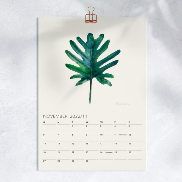 植物的靜默 2022年 月曆 掛曆 給植物愛好者的新年禮物 f1 第8張的照片